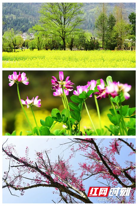 NeoImage_副本_副本.jpg NeoImage_副本_副本.jpg