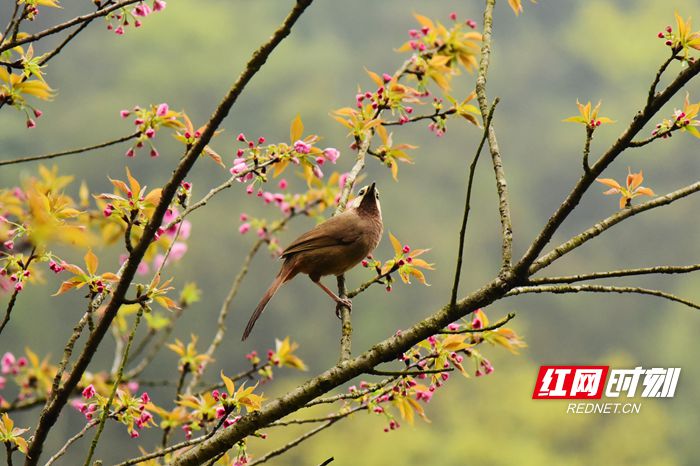 DSC_9887_副本.jpg DSC_9887_副本.jpg