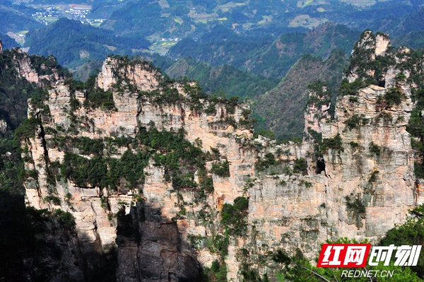 9381e4e80f8f45f59fc4bfdae5406c0a.jpeg 9381e4e80f8f45f59fc4bfdae5406c0a.jpeg