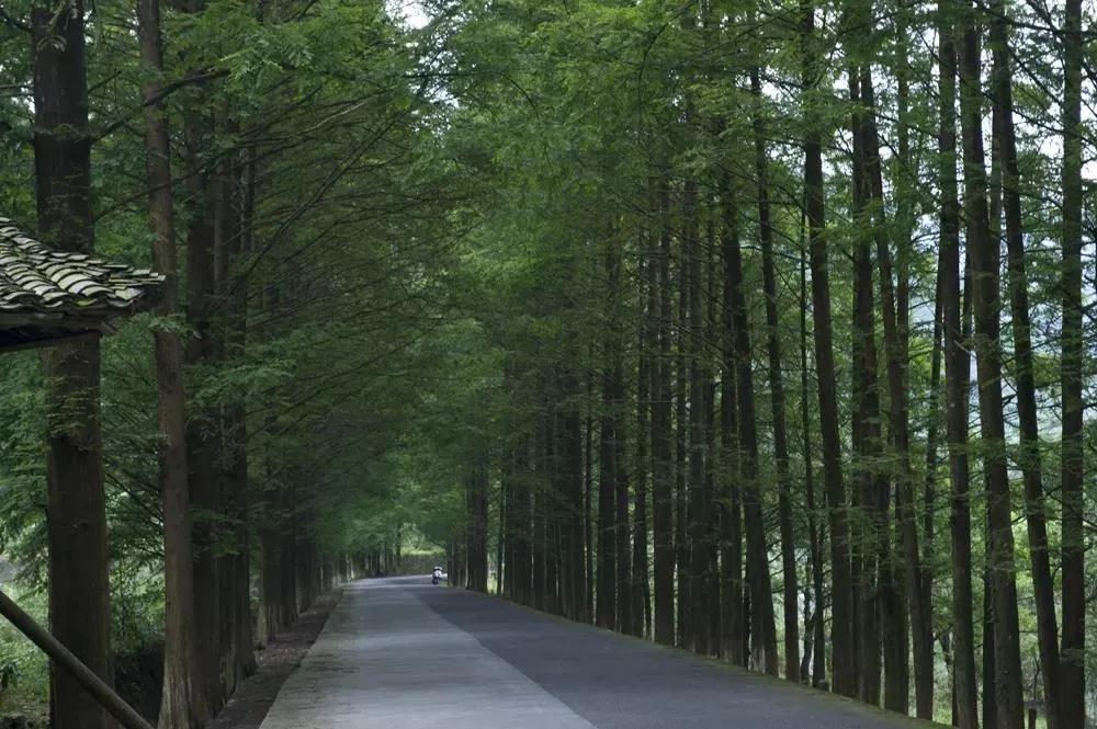 微信图片_20200514082259.jpg 微信图片_20200514082259.jpg