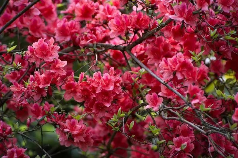 微信图片_20200514082315.jpg 微信图片_20200514082315.jpg