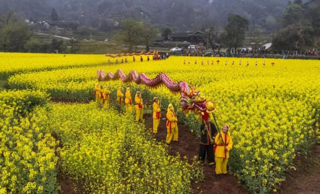 微信图片_20200514082333.jpg 微信图片_20200514082333.jpg