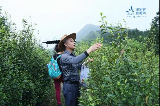 微信图片_20200528172054.jpg 微信图片_20200528172054.jpg