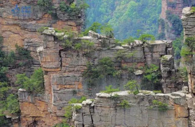 微信图片_20200529162612.jpg 微信图片_20200529162612.jpg