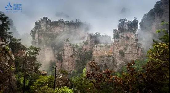 微信图片_20200529162609.jpg 微信图片_20200529162609.jpg