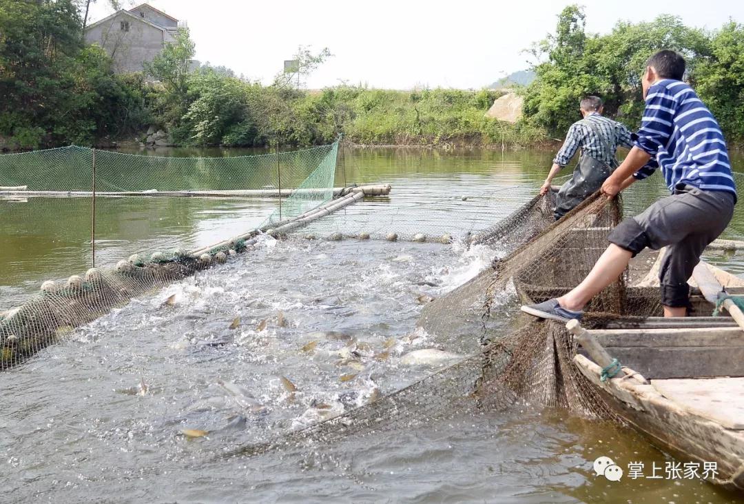 微信图片_20200611084855.jpg 微信图片_20200611084855.jpg