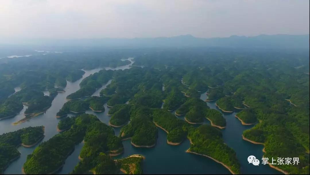 微信图片_20200611084853.jpg 微信图片_20200611084853.jpg