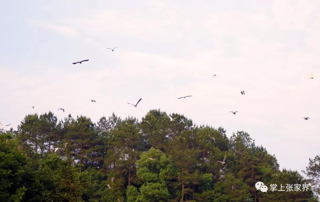 微信图片_20200611084915.jpg 微信图片_20200611084915.jpg