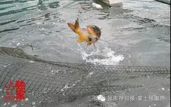 微信图片_20200612103108.jpg 微信图片_20200612103108.jpg