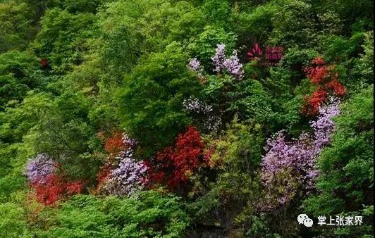 微信图片_20200618152337.jpg 微信图片_20200618152337.jpg