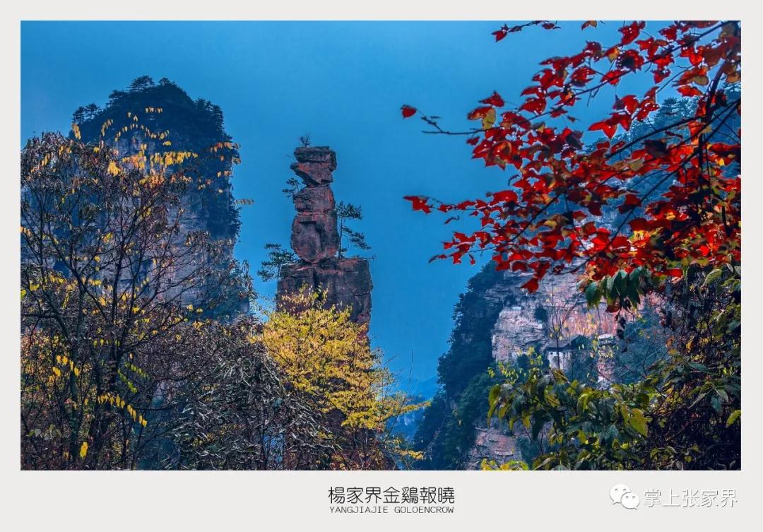 微信图片_20200623085307.jpg 微信图片_20200623085307.jpg