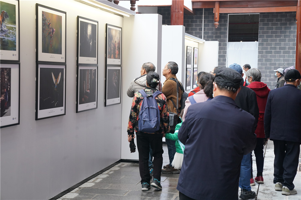 DSC02125.jpg DSC02125.jpg