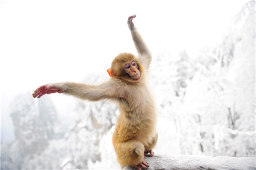 微信图片_20201204153700.jpg 微信图片_20201204153700.jpg