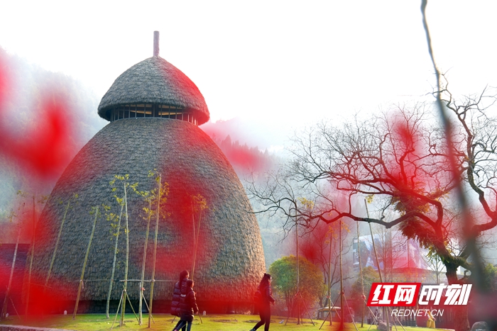 张家界旅游路线 - 张家界黄龙洞景区：冬至冬韵浓 红叶、红果演绎别样冬景