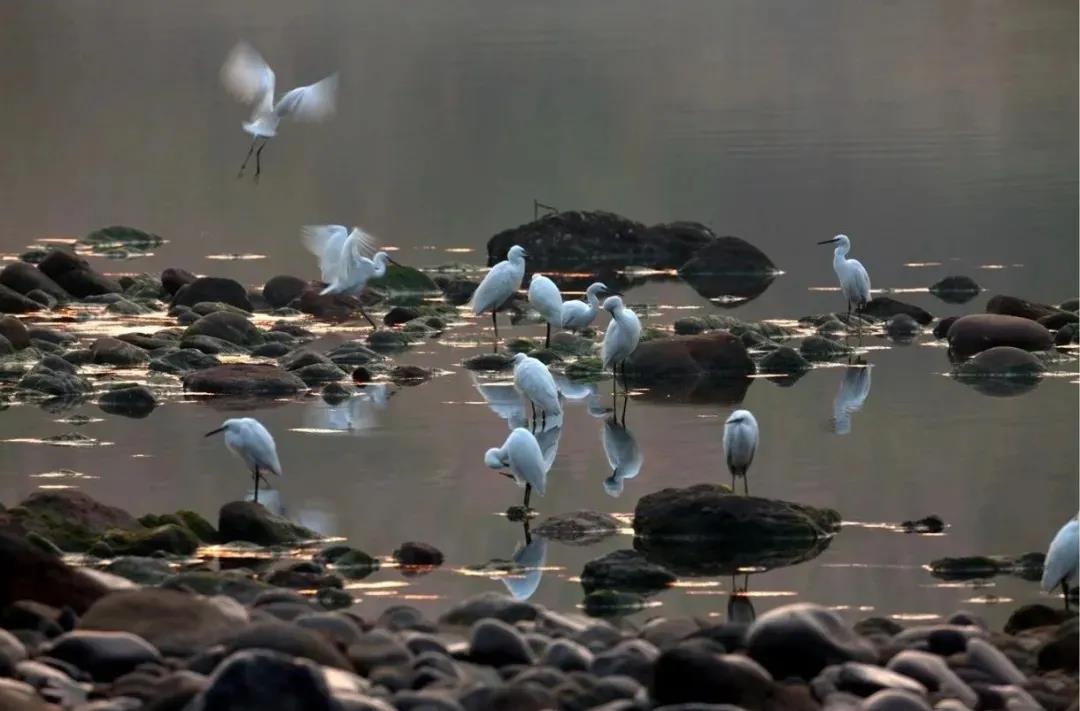 微信图片_20210119161038.jpg 微信图片_20210119161038.jpg