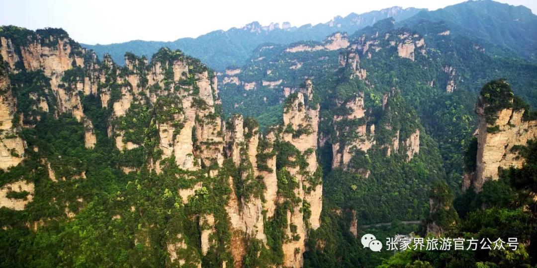 微信图片_20210125172322.jpg 微信图片_20210125172322.jpg