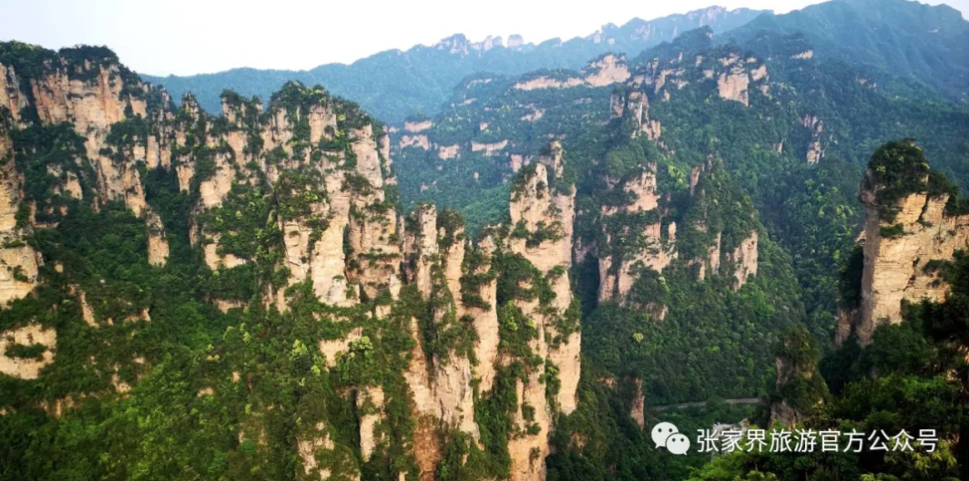 张家界天气 - 92.92万人次在张家界度过了七天乐