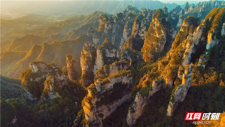 微信图片_20210427112456.jpg 微信图片_20210427112456.jpg