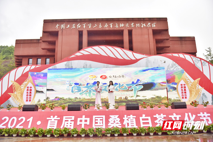 湖南张家界旅游 - 2021首届中国桑植白茶文化节开幕