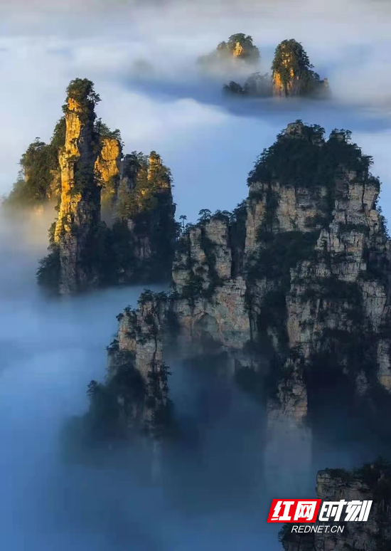 张家界自由行 - 旅游“最强大脑”点亮“中国旅游创意之都”——张家界市旅游人才工作侧记