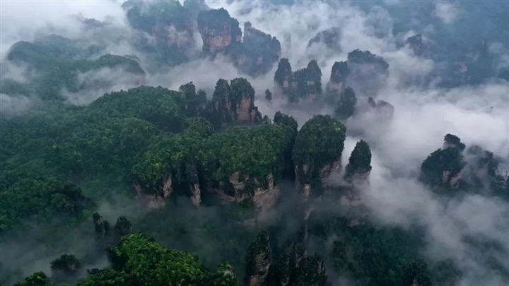 张家界旅游报价 - 绘就绿水青山大美张家界画卷——展望十四五系列报道之六