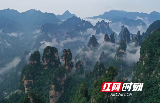 张家界旅游攻略指南 - 组图 | 武陵源十里画廊：夏日云雾缭绕宛如仙境