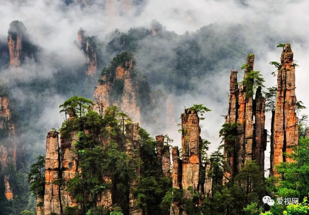 640.webp (1).jpg 640.webp (1).jpg