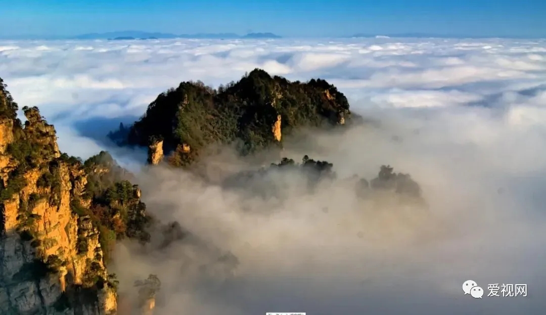 640.webp (3).jpg 640.webp (3).jpg