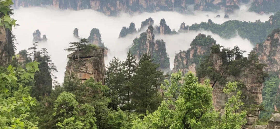 640.webp (7).jpg 640.webp (7).jpg