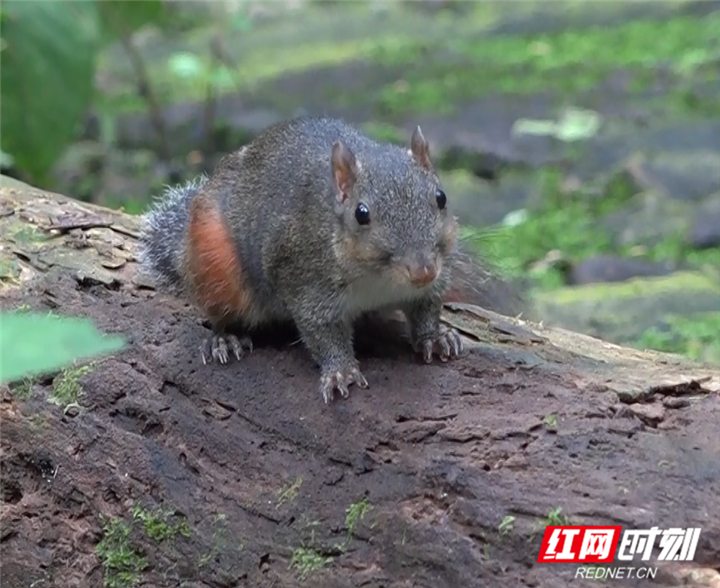 QQ图片20210714120823.jpg QQ图片20210714120823.jpg