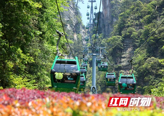 张家界旅游线路 - 张家界市武陵源区：生态优美引客来