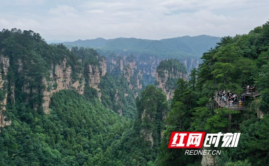 张家界门票 - 张家界国家森林公园黄石寨：暑期旅游“热”起来（组图）