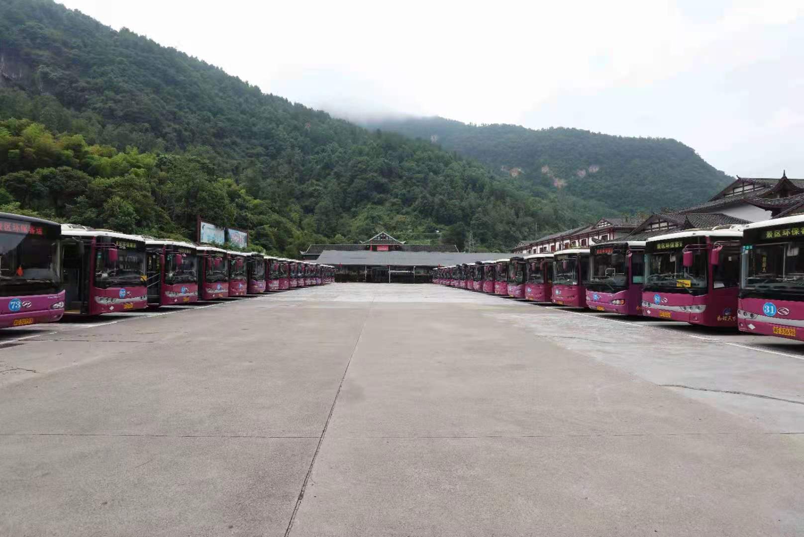 WechatIMG736.jpeg WechatIMG736.jpeg