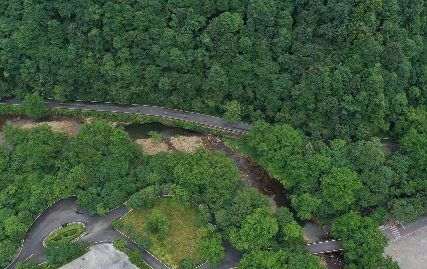 WechatIMG742.jpeg WechatIMG742.jpeg