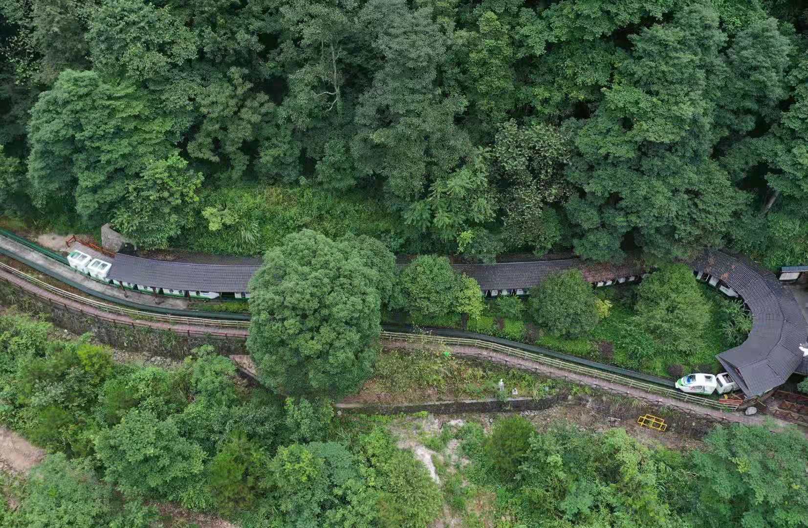 WechatIMG740.jpeg WechatIMG740.jpeg