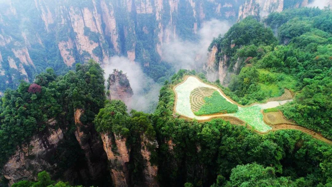 微信图片_20210916195500.jpg 微信图片_20210916195500.jpg