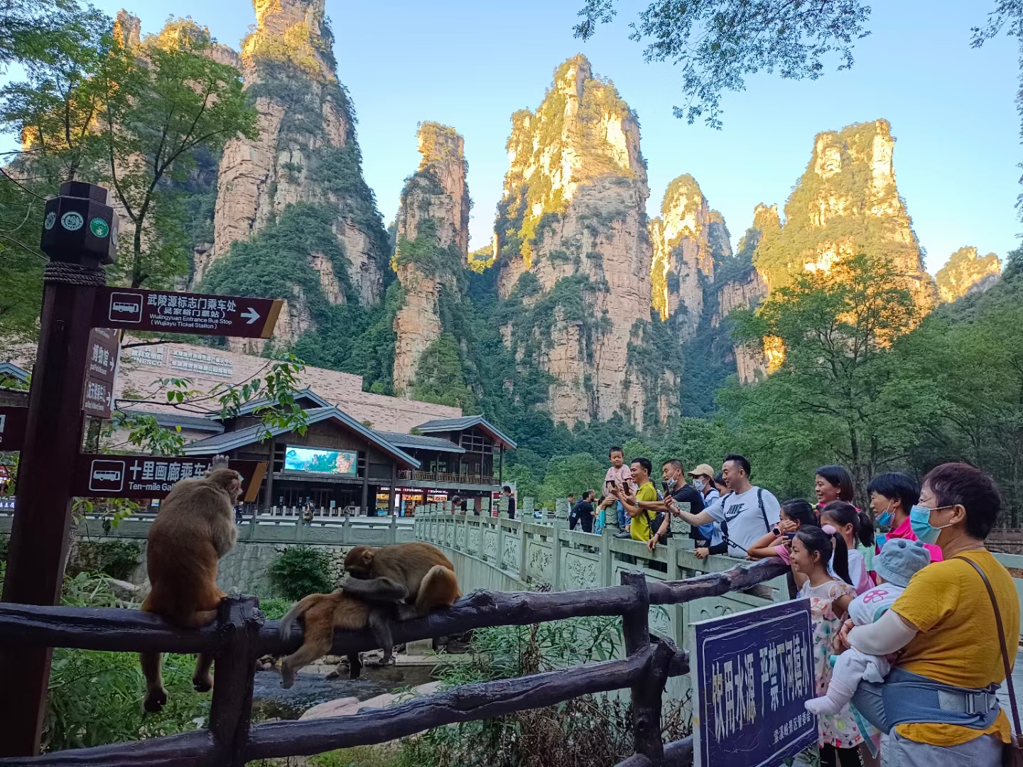 张家界攻略 - 国庆假期:166.8万人次乐游张家界