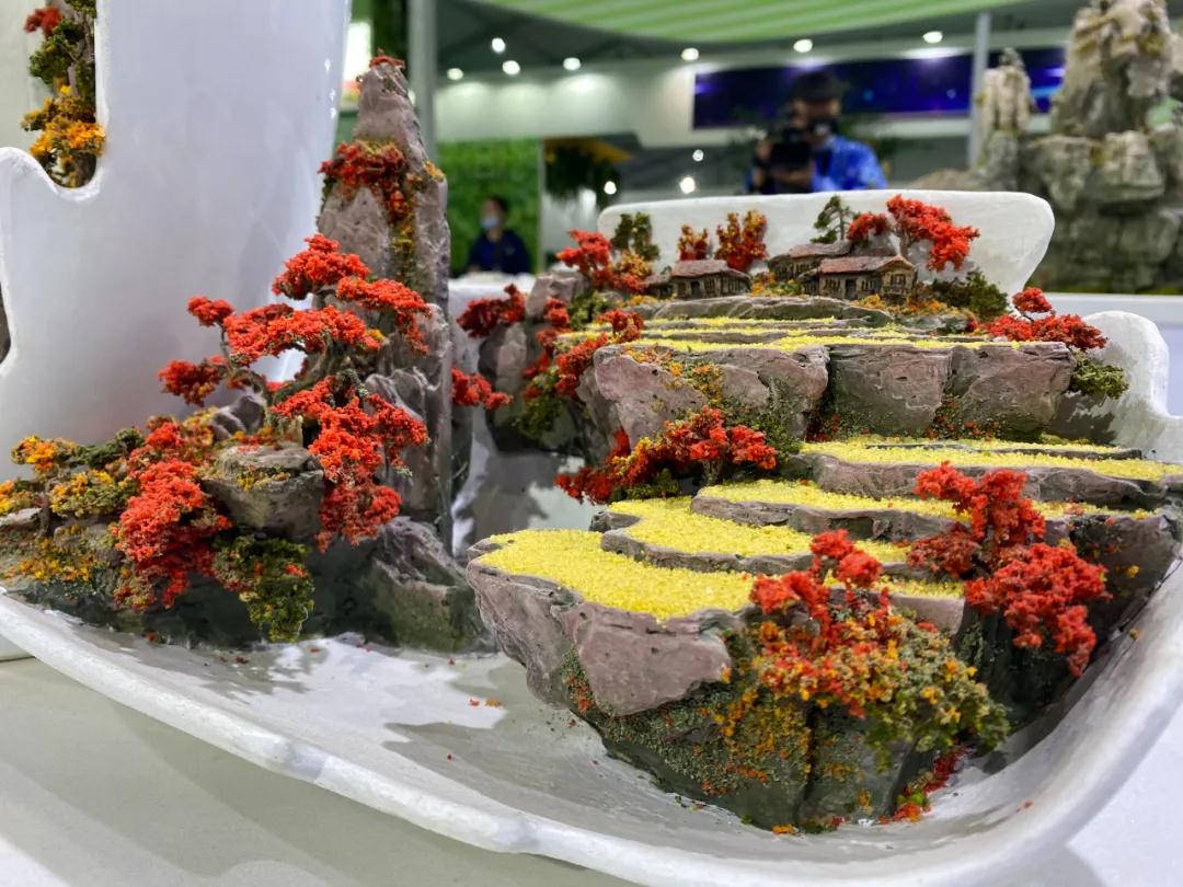 微信图片_20211022140643.jpg 微信图片_20211022140643.jpg