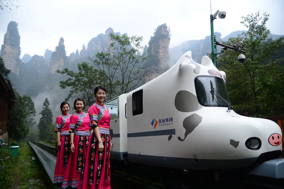 640.webp.jpg 640.webp.jpg