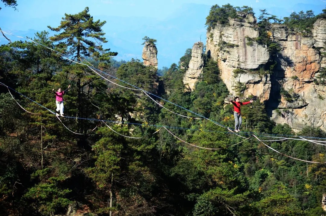 640.webp.jpg 640.webp.jpg