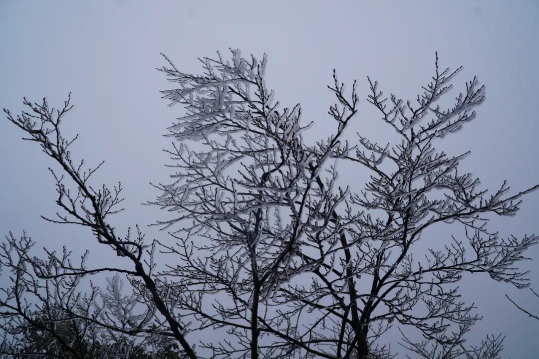 微信图片_20220122202001.jpg 微信图片_20220122202001.jpg