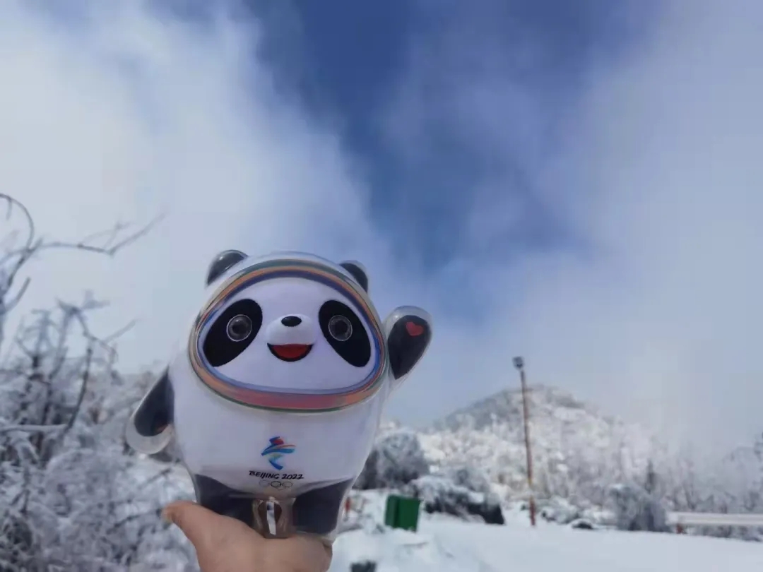 640.webp (6).jpg 640.webp (6).jpg