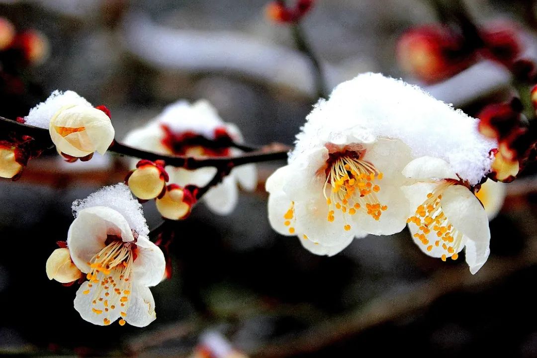 640 (17).jpg 640 (17).jpg