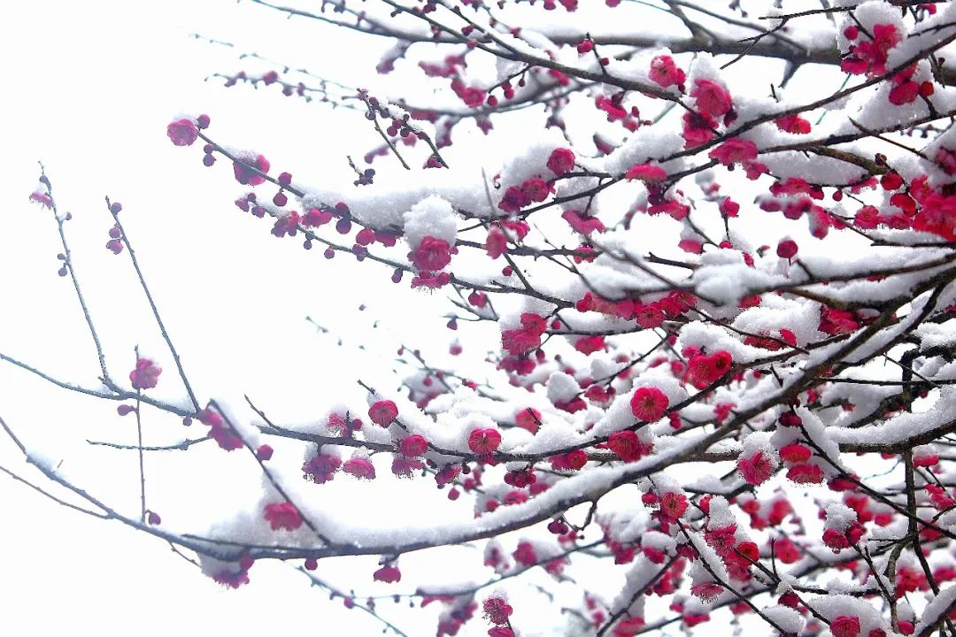 640 (18).jpg 640 (18).jpg